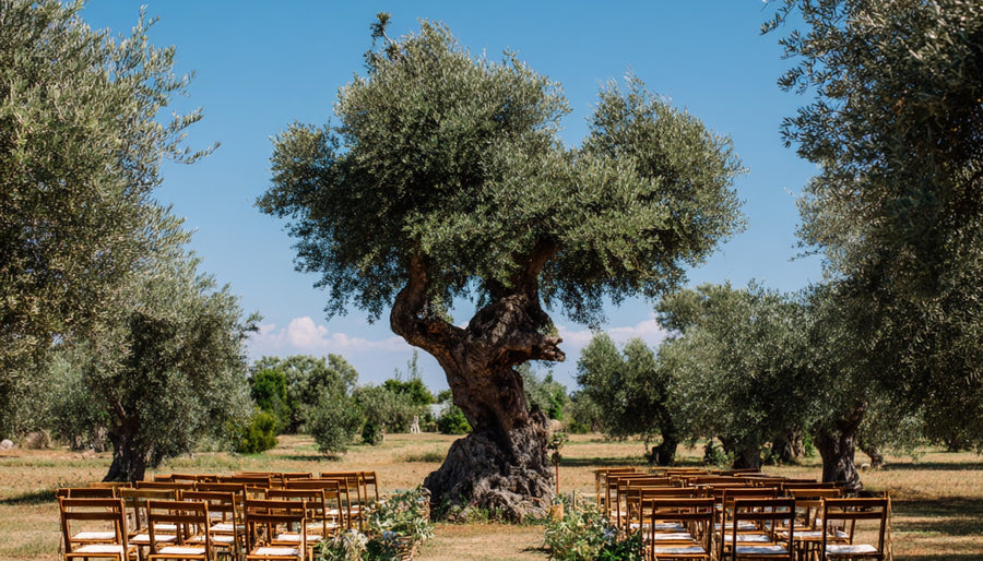 The Best Months to Get Married in Italy—And Where to Go Each Season