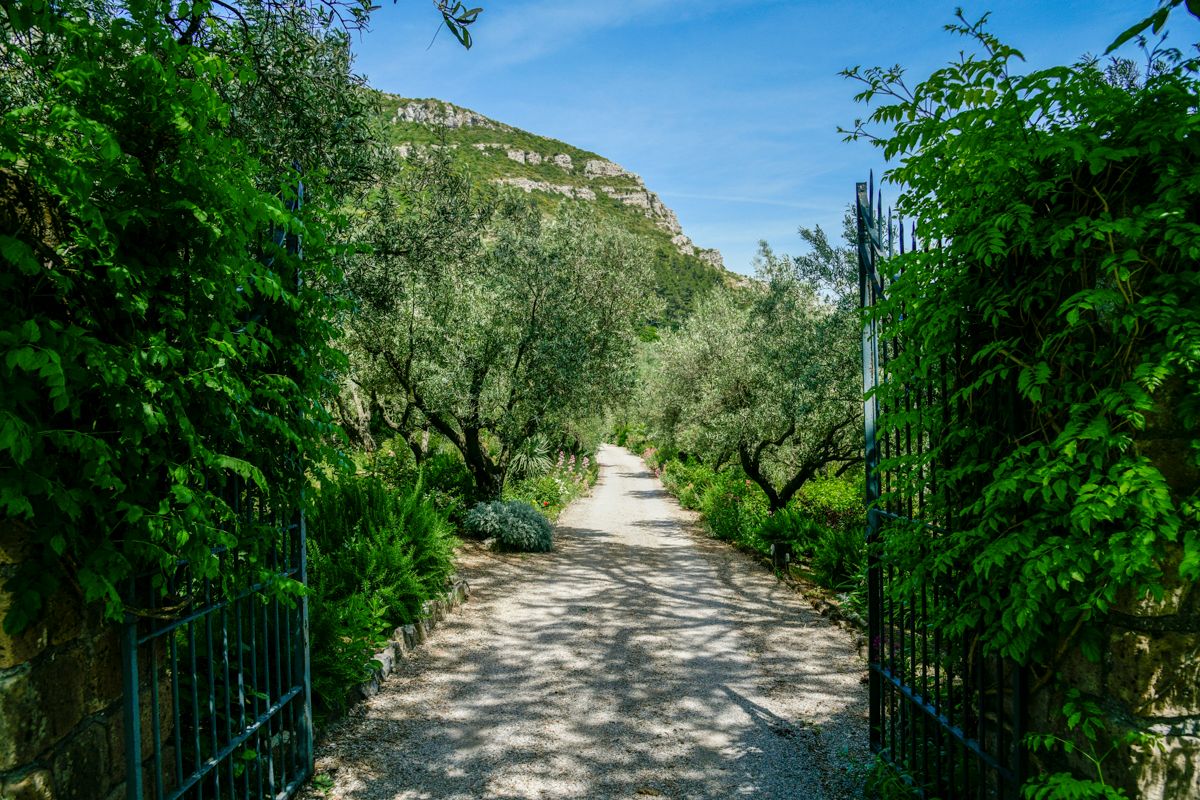 Isole Delle Sirene