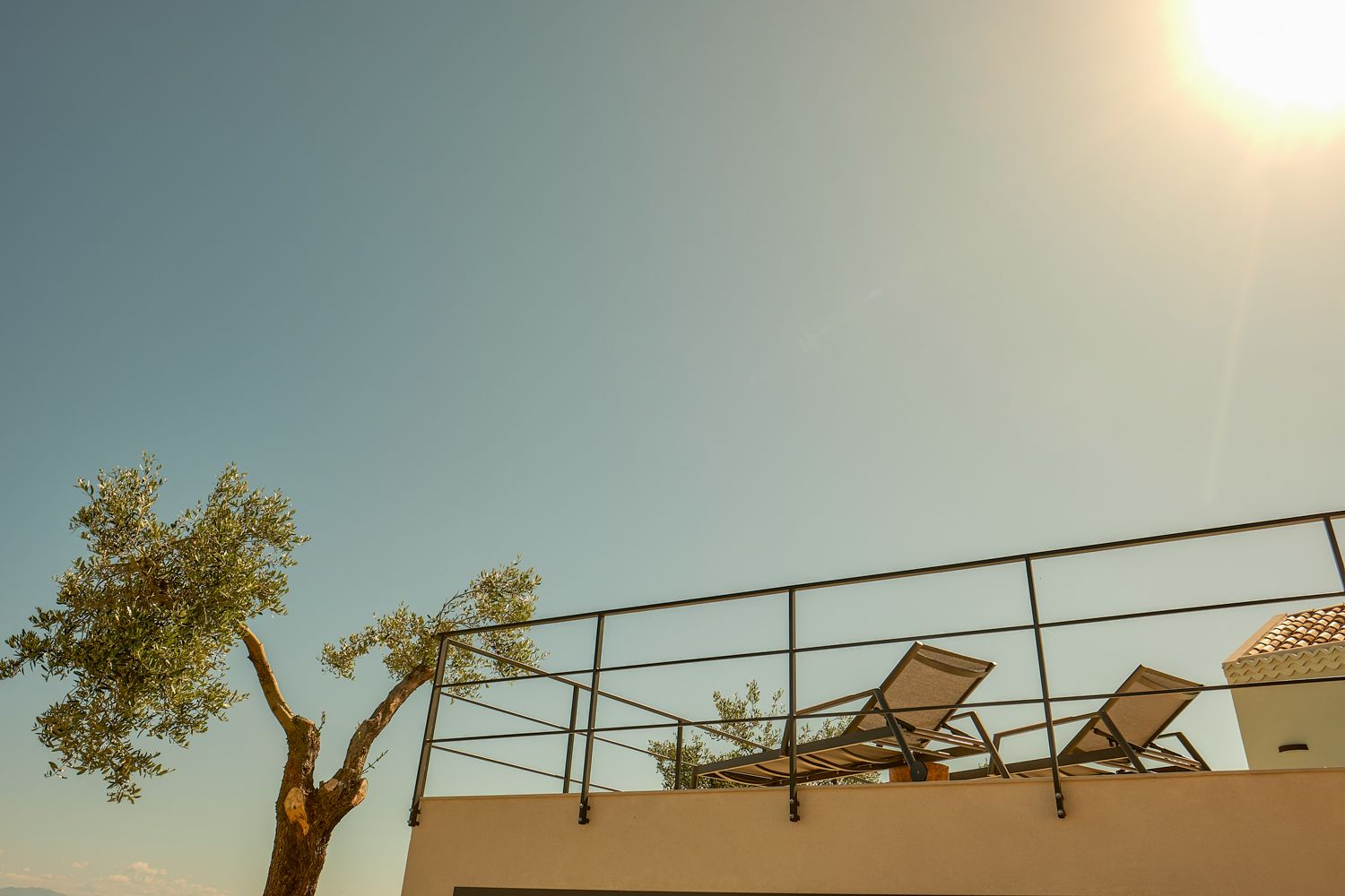 Sunlight Heaven