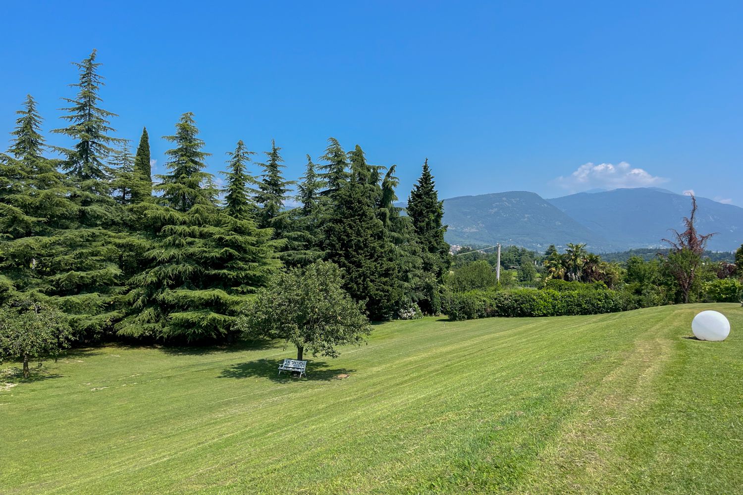 Villa Alfiere