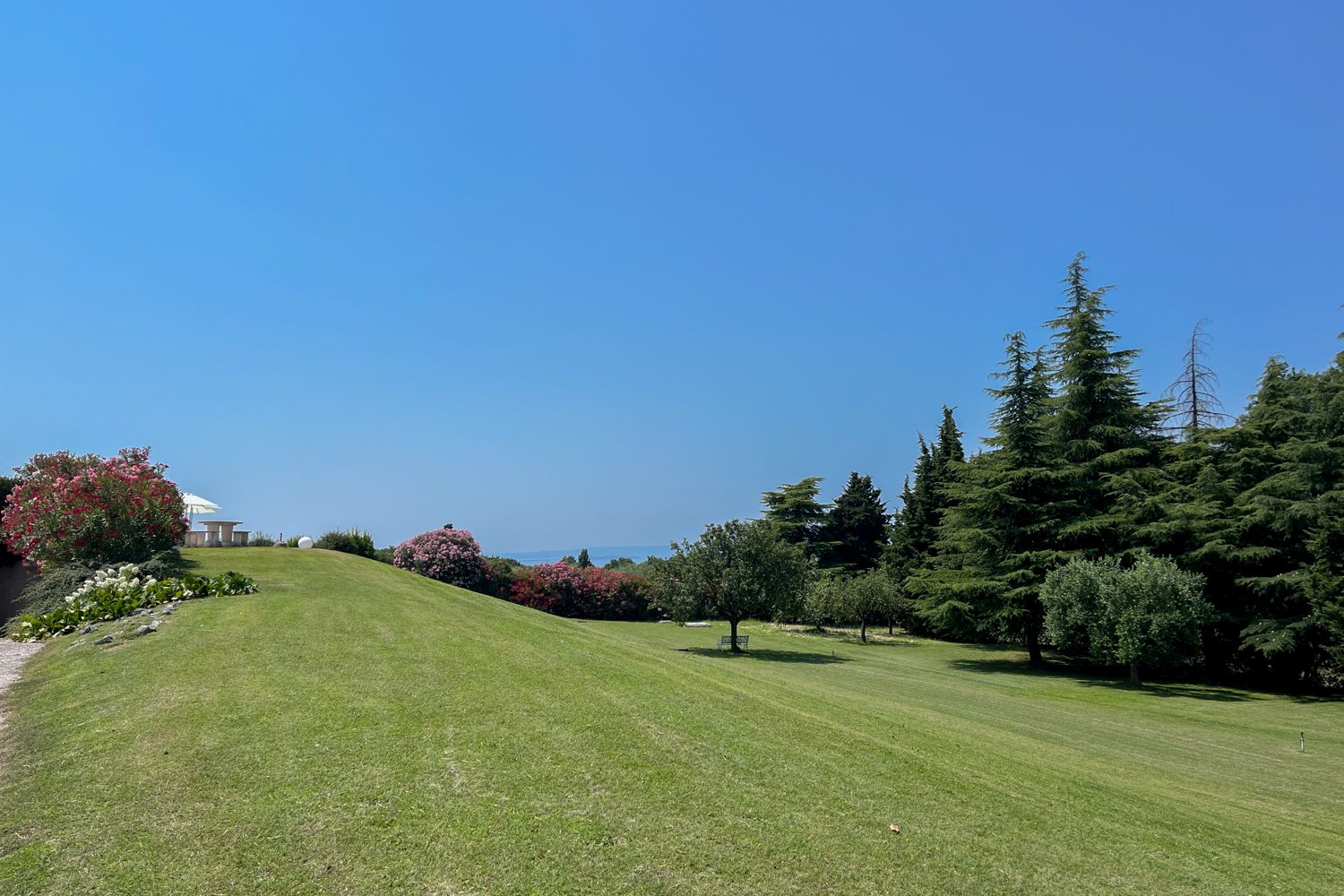 Villa Alfiere