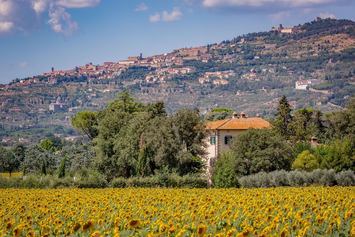 Villa Dardano