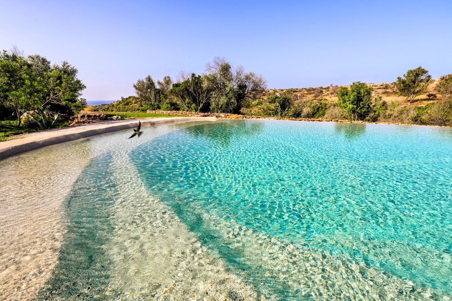 Masseria Dei Vigneti