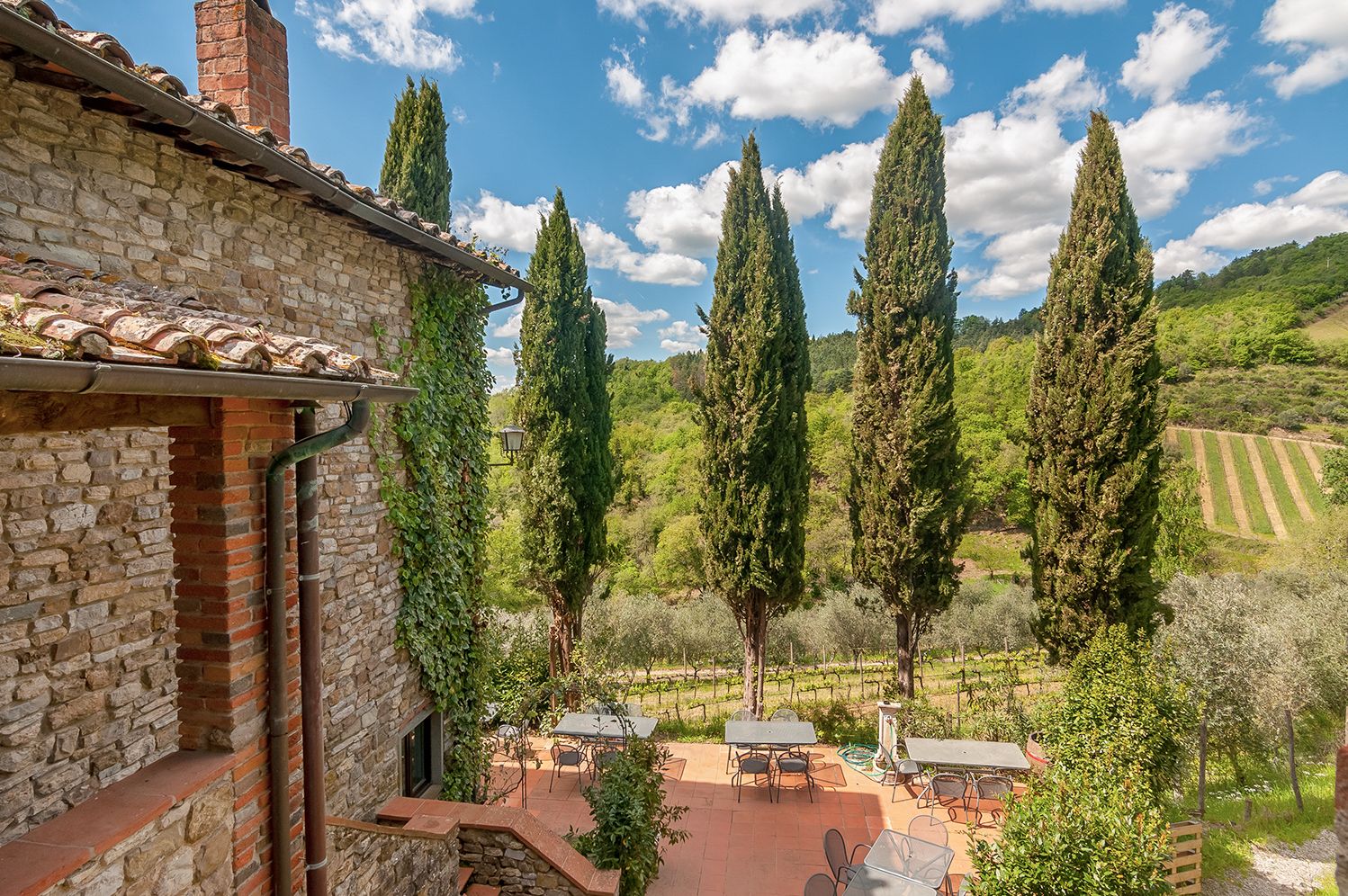 Villa Vigneto Estate