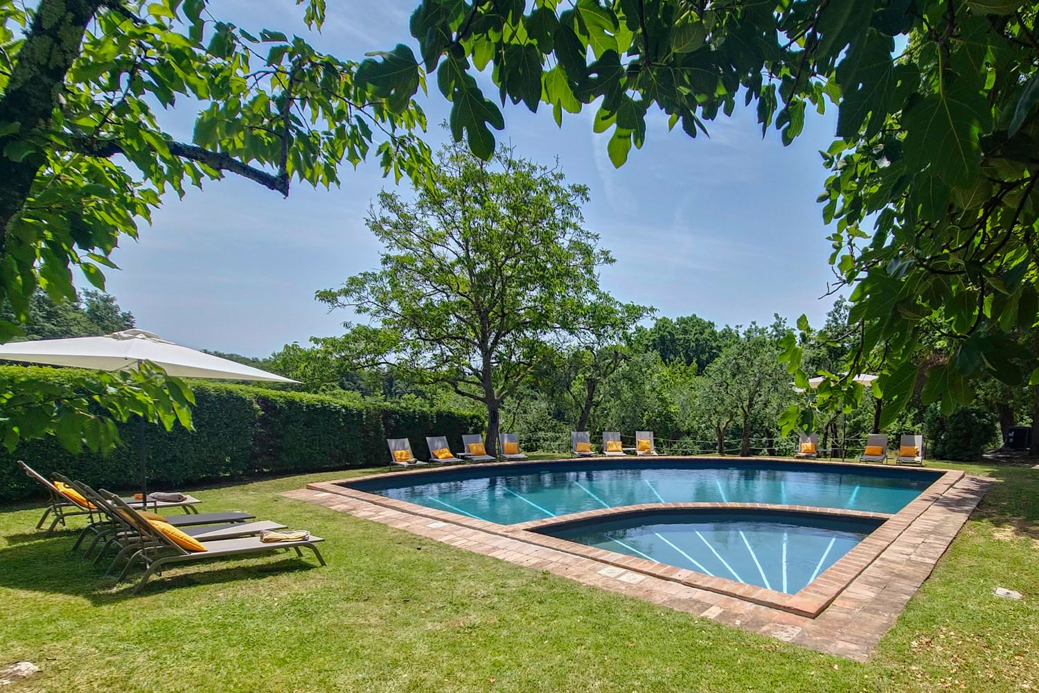 Palazzone Della Lavanda