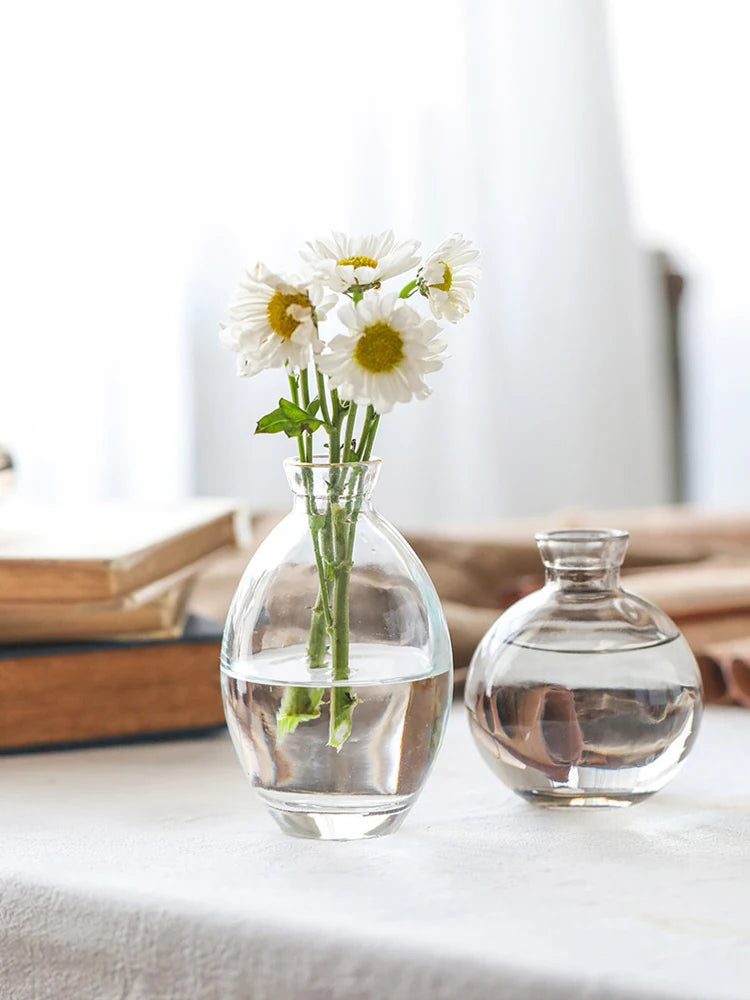Transparent Glass Vase Retro Class Vase Pot Nordic Flower Bottle Retro Plants Glass Jar Wedding Decoration Home Decor florero