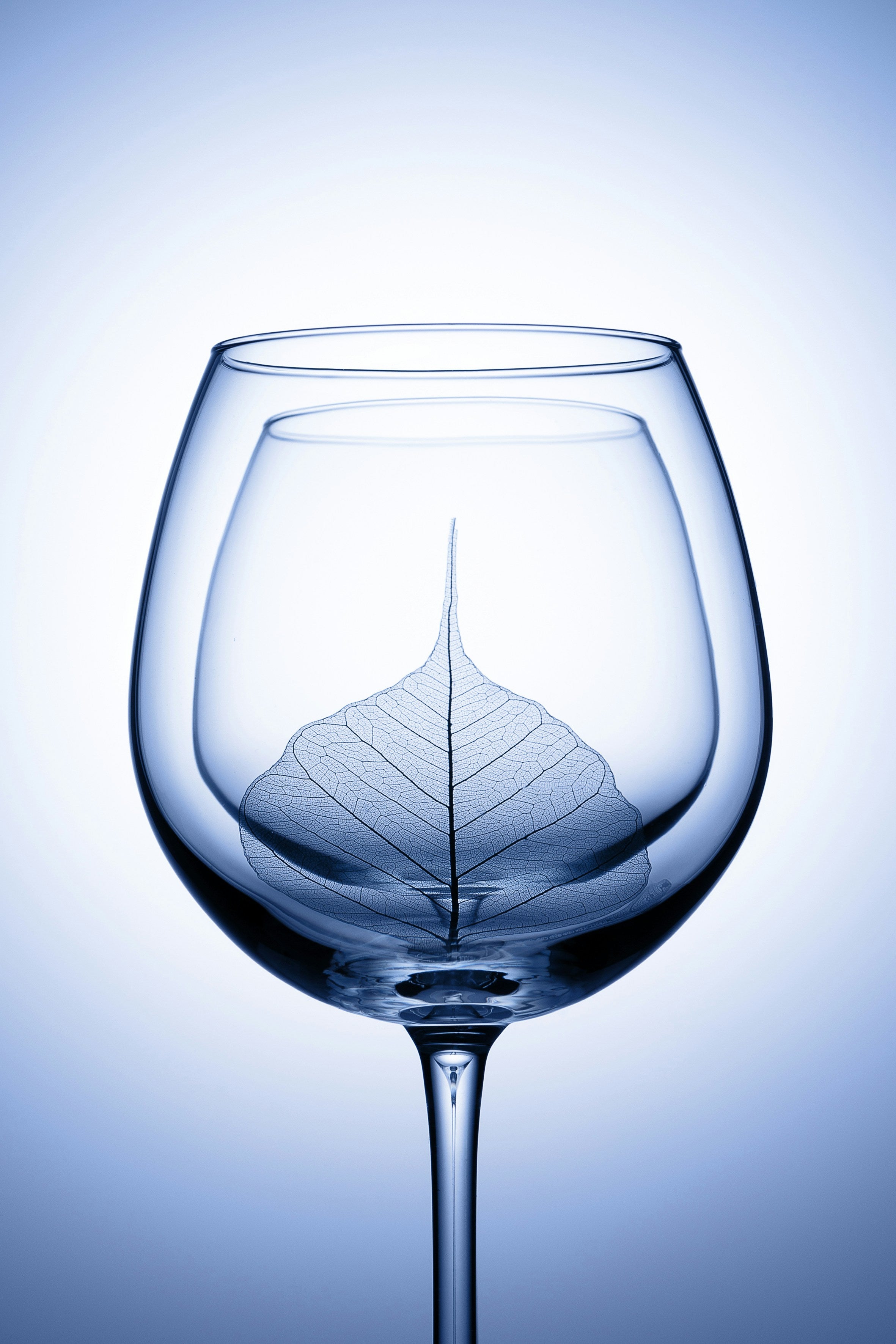 Wine Glass (Stemmed)