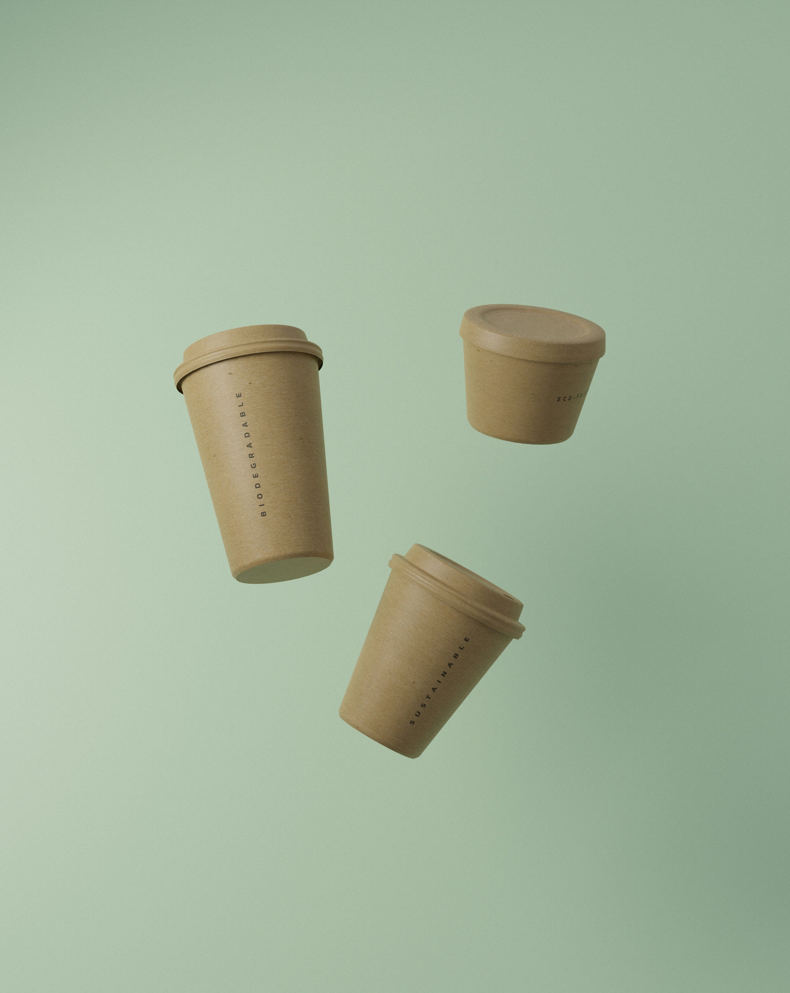 Disposable Coffee Cups with Lids