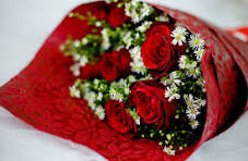 Engagement Shoot Video