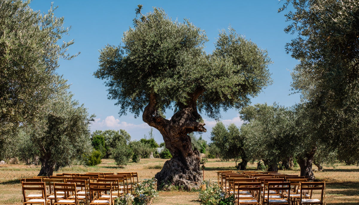 The Best Months to Get Married in Italy—And Where to Go Each Season