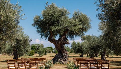 The Best Months to Get Married in Italy—And Where to Go Each Season