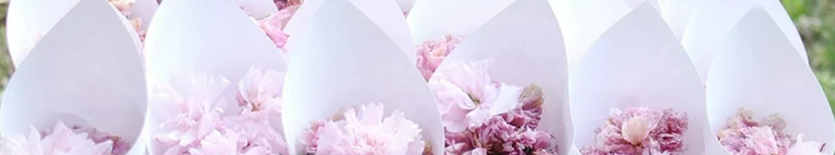 Paper Cones & Confetti