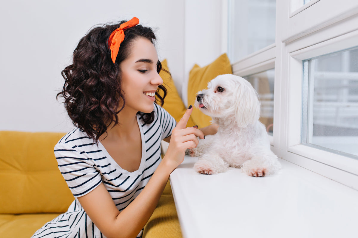Pets