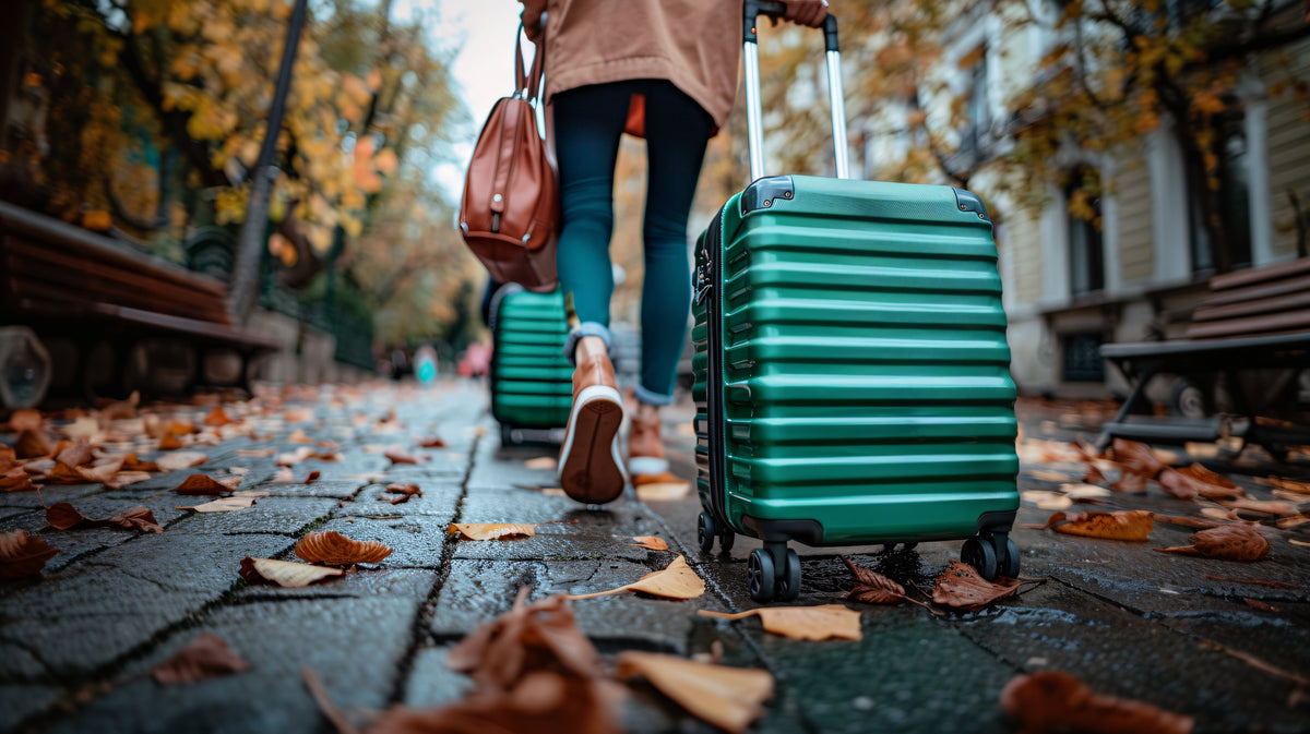 Luggage & Travel
