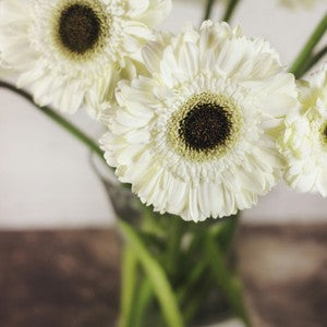 Crystal Vases