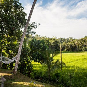 Sinhala House