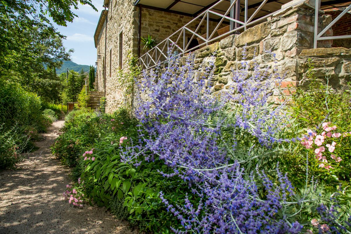 Villa Francis