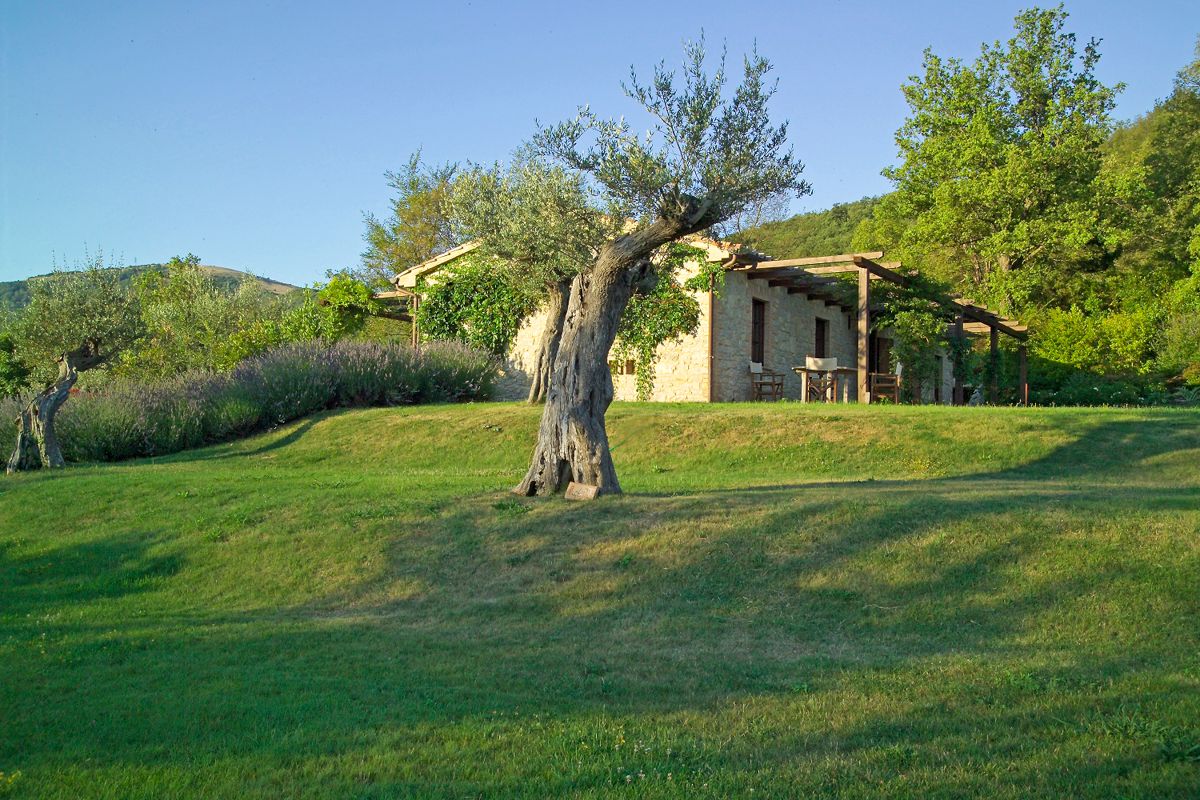 Villa Petroia