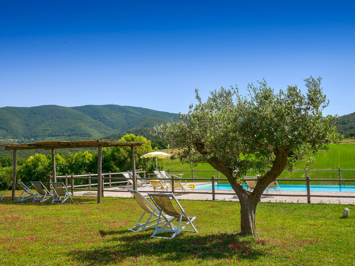 Casale Morus Alba