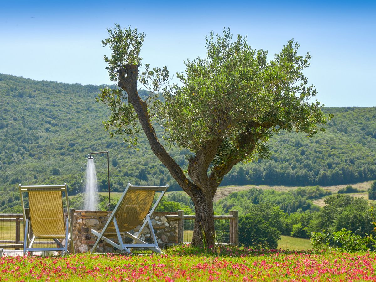 Casale Morus Alba
