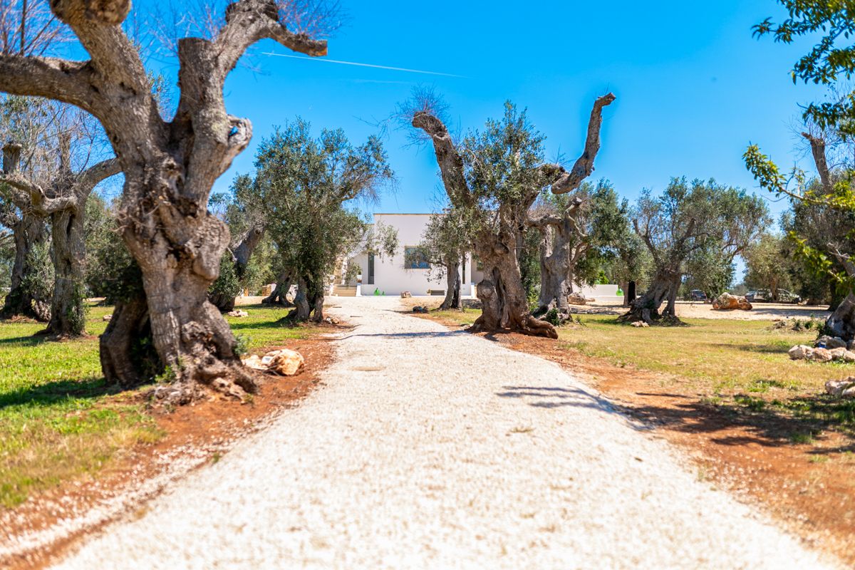 Villa Rhodiola