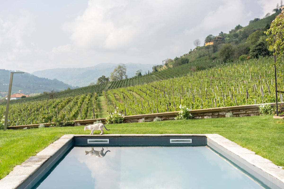 Villa Moscato