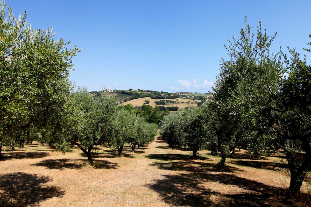 Casa Castelletto
