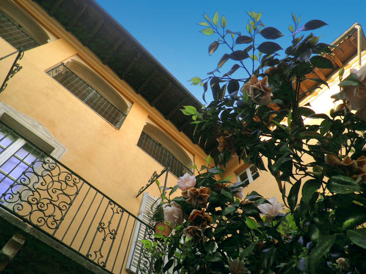 Palazzo Novara