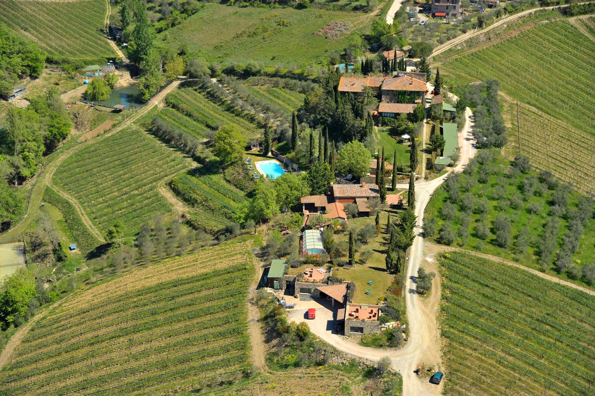 Villa Vigneto Estate