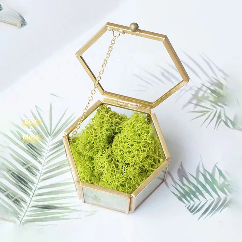 Custom Hexagonal Glass Ring Box Geometrical Clear Jewelry Storage Box Eternal Flower ring holder DIY Delicate Wedding Decoration