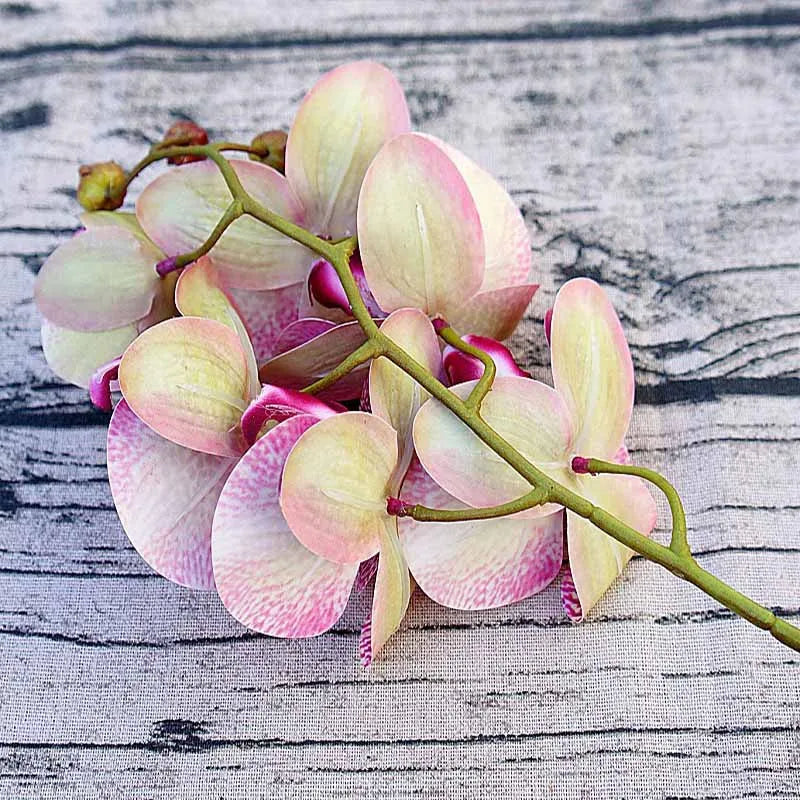 3D Small Butterfly Orchid 6 Heads/Bundle Fake Flower Home Drapery Wall Wedding Decoration Christmas Diy Artificial Phalaenopsis