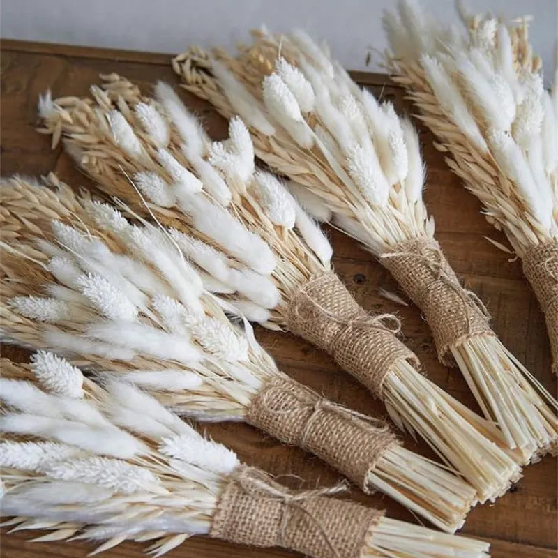 White Pampas Grass Decor 50 Pcs 17” Wedding Centerpiece Flower Arrangements Natural Home Boho Room Decoration Dried Flower Gift