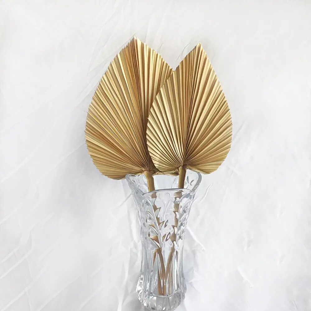 5PCS Dried Palm Leaves Dried Palm Fans Room Home Decor Boho Look Wedding Outdoor Decoration Artificial Plant Dried Flowers Arch