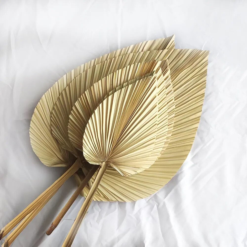 5PCS Dried Palm Leaves Dried Palm Fans Room Home Decor Boho Look Wedding Outdoor Decoration Artificial Plant Dried Flowers Arch