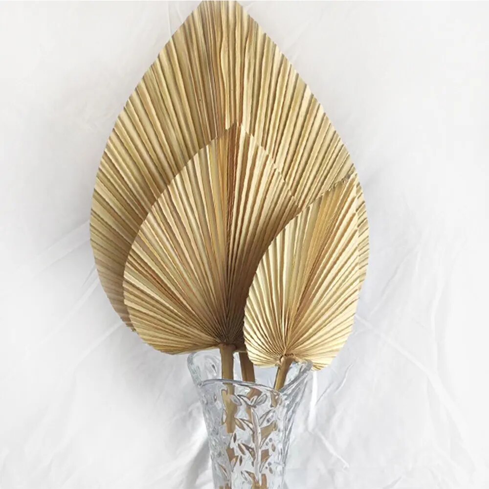 5PCS Dried Palm Leaves Dried Palm Fans Room Home Decor Boho Look Wedding Outdoor Decoration Artificial Plant Dried Flowers Arch