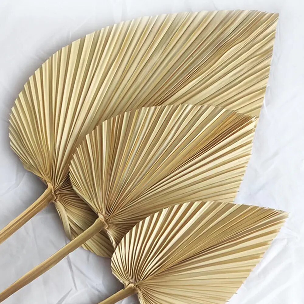 5PCS Dried Palm Leaves Dried Palm Fans Room Home Decor Boho Look Wedding Outdoor Decoration Artificial Plant Dried Flowers Arch