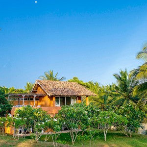 Surf House