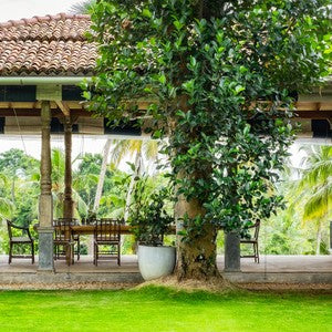 Midigama Retreat